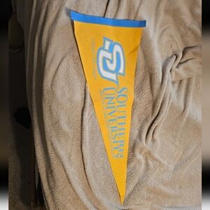 032426 Southern Louisiana Lions 12 X30 SOFT FELT WOOL PENNANT. Box 22t